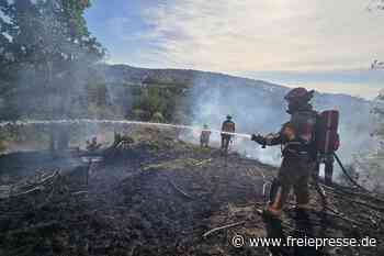 Erneut Waldbrand bei Plauen: Großaufgebot an Feuerwehren vor Ort