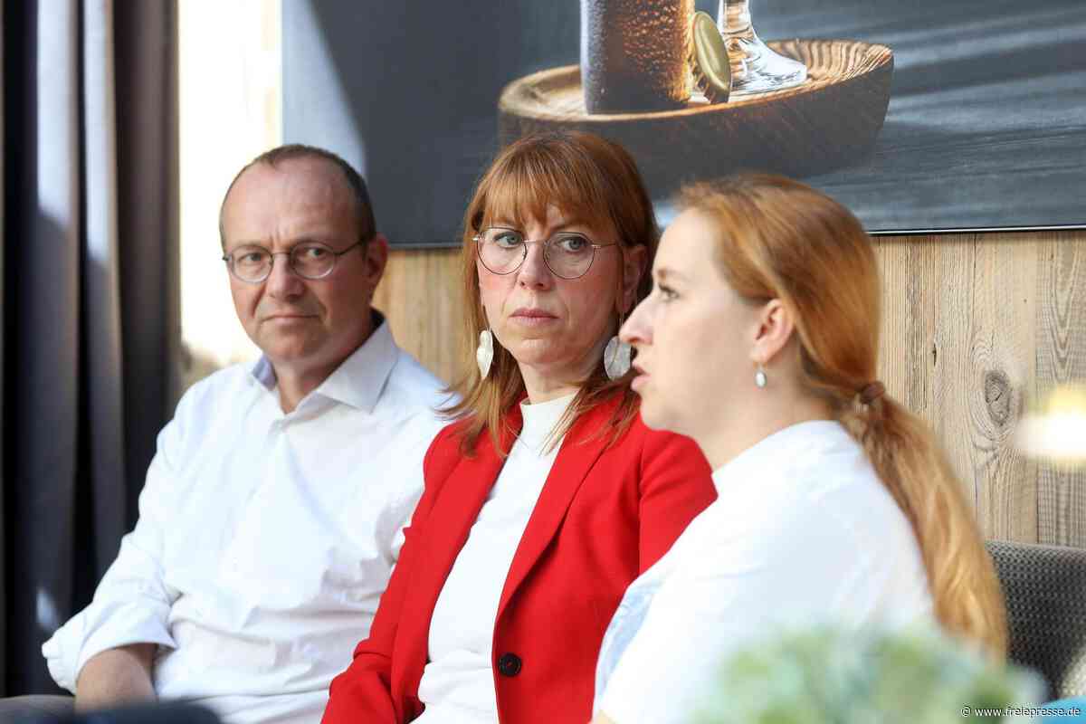 Grüne kritisieren Masterplan Südwestsachsen: Zu viel Last bei Zwickaus Landrat