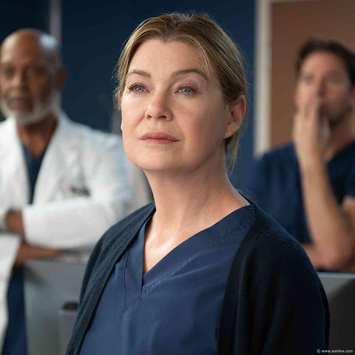 Grey's Anatomy Reveals New Cast Additions Ahead of Season 23 Premiere