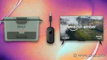 Amazon Deals of the Day: Snag This Amazon Fire TV for Less Than $300
