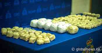 16 charged in cocaine trafficking investigation in Quebec