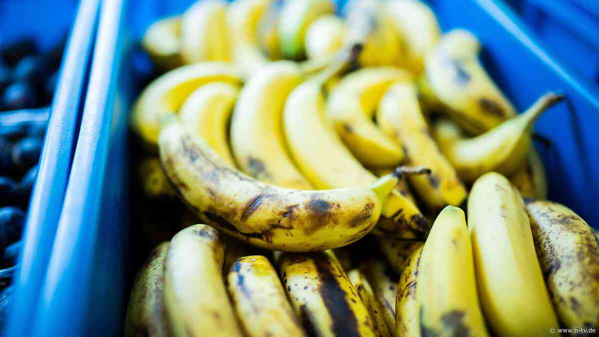 Neue Sorte vor Marktstart in UK: Braune Stellen? Diese genveränderte Banane soll das Problem lösen