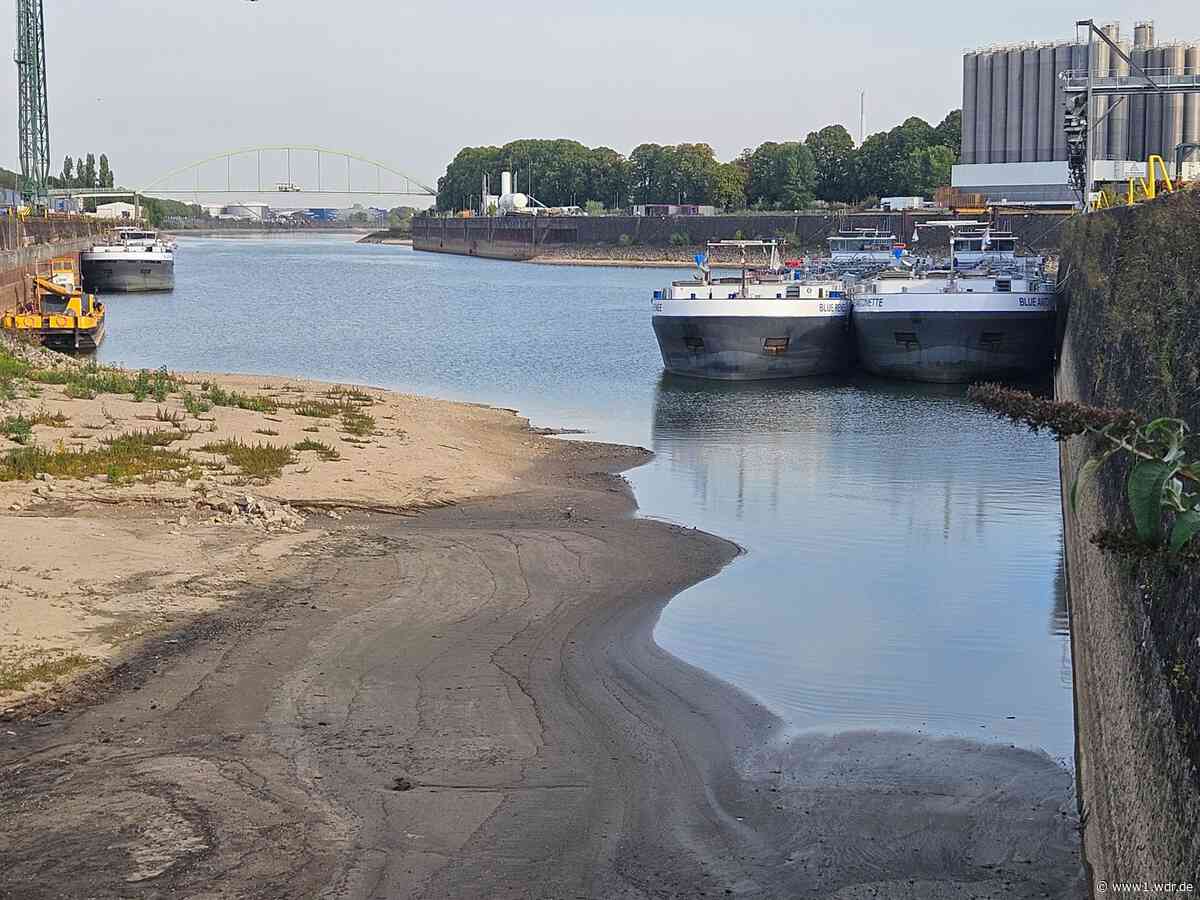 Niedrigwasser: Kölner fordern Geld für moderne Schiffe