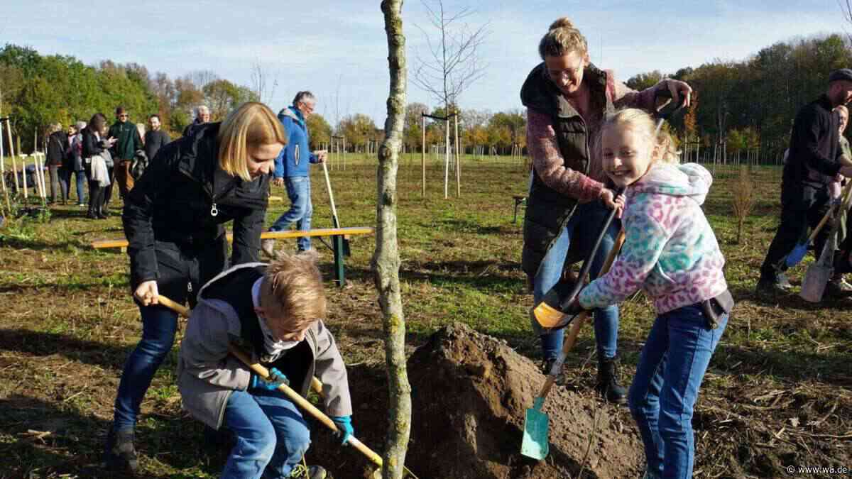 Bäume müssen warten: Haushaltssperre verhindert die Pflanzaktion in Werne