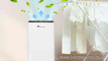 Get 'energy efficient' £299 dehumidifier that 'dries laundry indoors' for £84