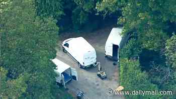 'Quantity of petrol' found in three vans near RAF Fairford, but officers have found no improvised explosive devices, police confirm