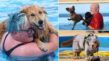 Who's a good buoy! Playful pooches make a splash in luxury heated lido