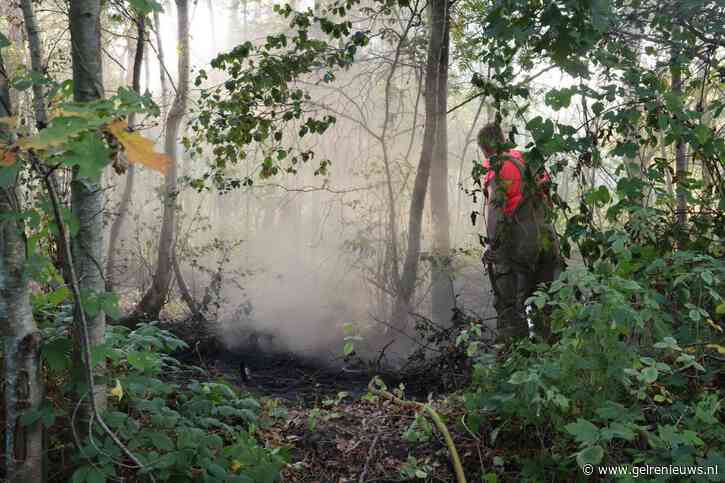 Flink stuk bos in brand, warmte diep in bodem