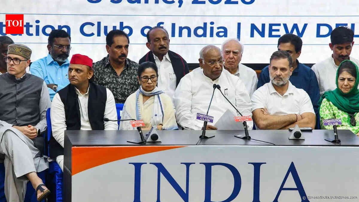 INDIA bloc meet: 'United' opposition to step up attack on EC, BJP - what's on agenda