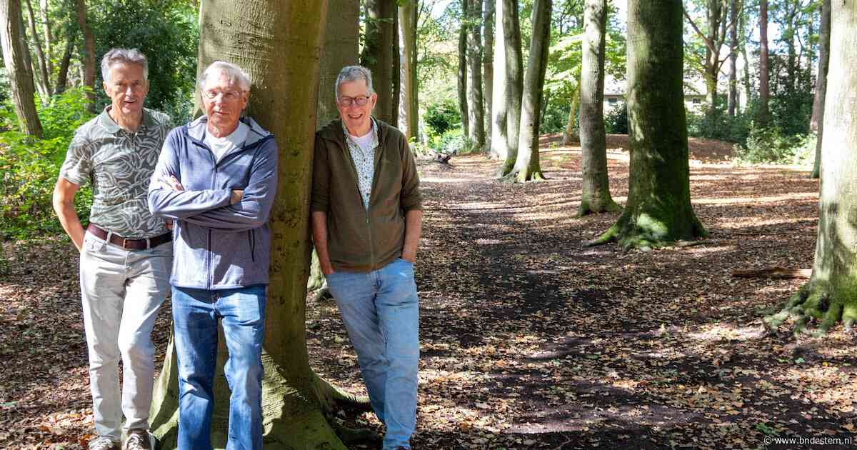 Op expeditie naar verloren landgoederen: ‘Dit was het Downton Abbey van Bergen’