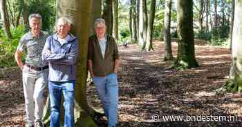 Op expeditie naar verloren landgoederen: ‘Dit was het Downton Abbey van Bergen’