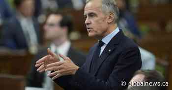 Immigration increase could be on the horizon, Carney suggests in interview