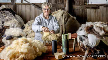 Mieke maakt natuurlijke urnen in de vorm van schapen: ’Grapje uitgegroeid tot iets moois’