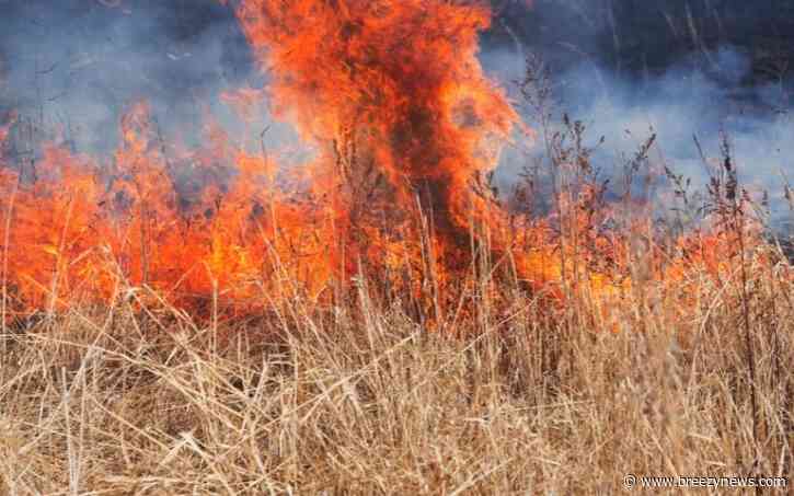 Attala Fire Chief Cautions Against Burning After Woods Fire Rekindles