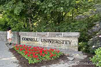 Cornell's Gang Rape Lawsuit Raises a Crucial Question: Who Decided the Fraternity Sanctions?