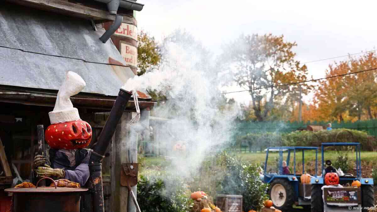 Neue Attraktion nur wenige Wochen nach Eröffnung: Gruselige Neuheit in NRW-Freizeitpark