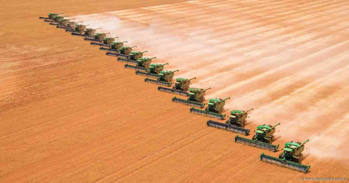 Wheat markets ease as Black Sea grain shipment agreement rumours circulate