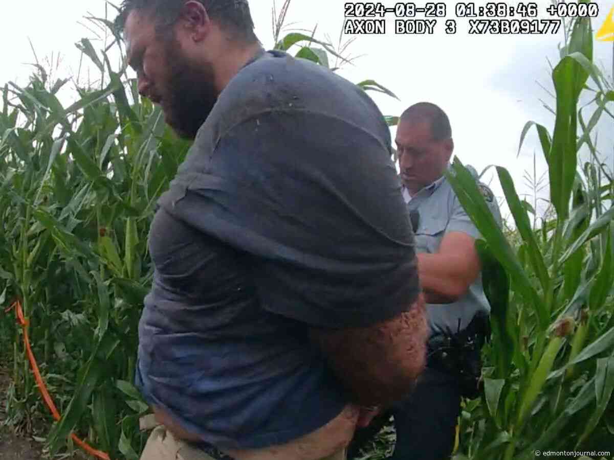 Victim in Edmonton Corn Maze stabbing tried to recruit accused to Nazi group, trial hears