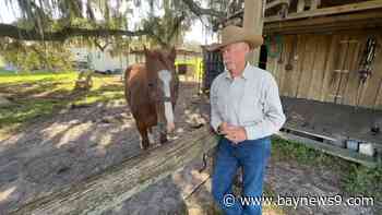 Polk County teams with state to preserve nearly 1,000 acres of agricultural land