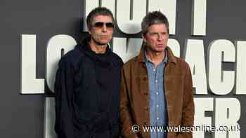 Oasis archive recordings pulled from auction over legal dispute
