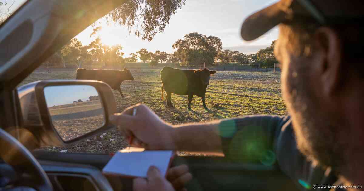 The rural radar: why farmers will always be the eyes and ears of the bush