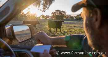 The rural radar: why farmers will always be the eyes and ears of the bush