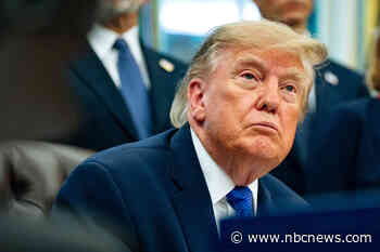 Pro-Trump TV ads paid for with Customs and Border Protection money, official says