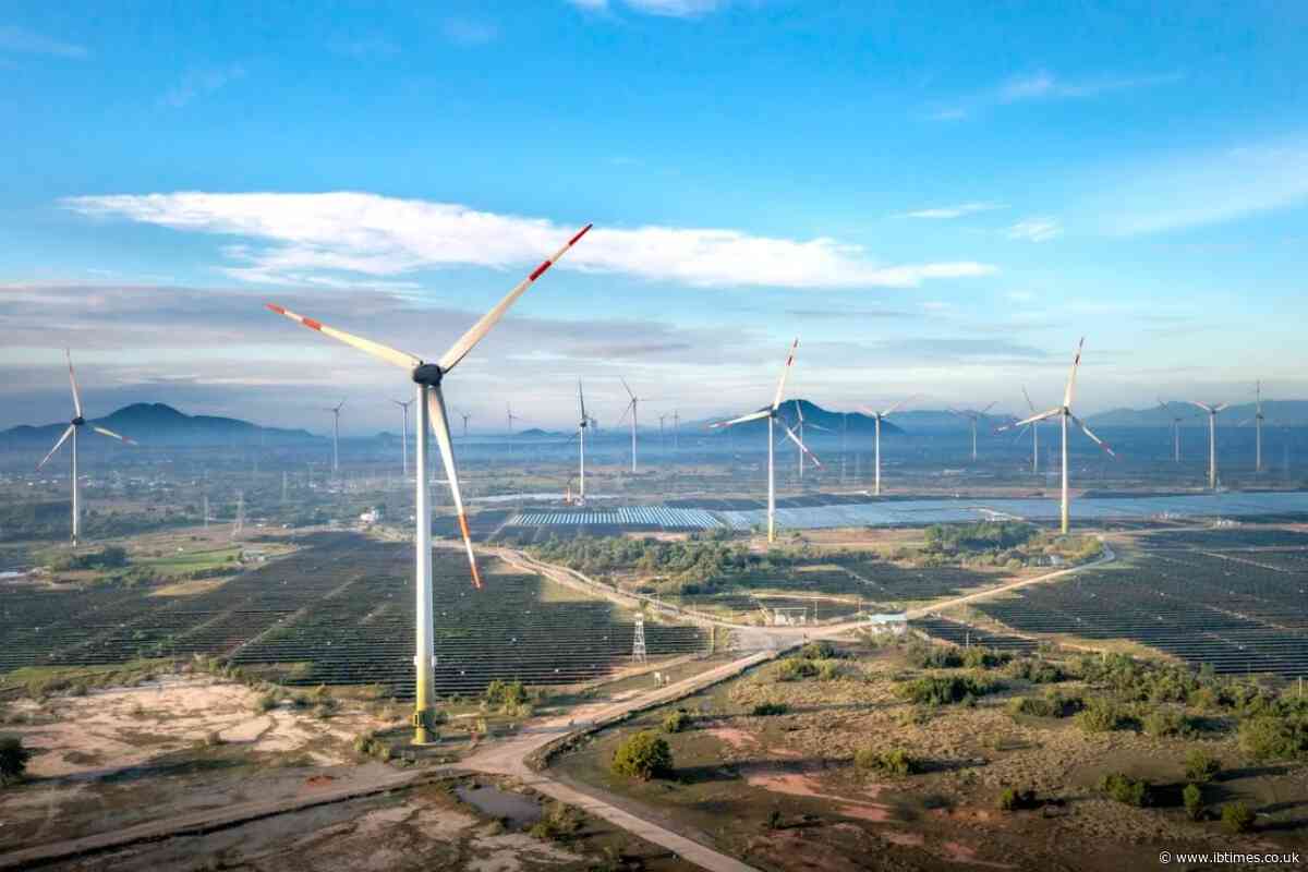 'Grid, Grid, Grid': Renewables Chief Says Power Networks Are Energy Security's Most Urgent Fix