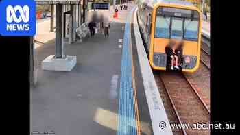 Tangara carriages locked down over 'train surfing' and break-in fears