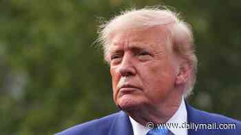Trump slams UK cops for 'giving bail to terrorists' after suspected plot on airbase used by US bombers