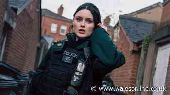 BBC viewers left divided as 'masterpiece' crime drama returns after one year