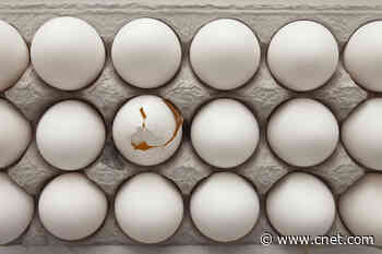 How Long Do Eggs Last in the Fridge?