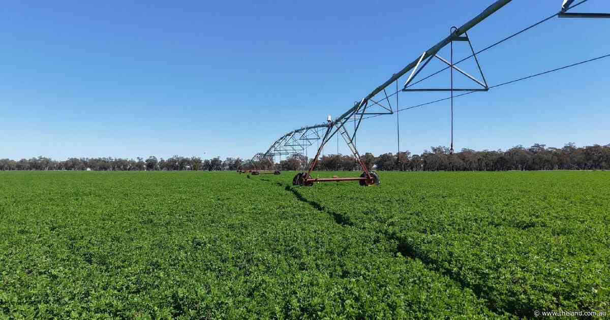 First-class irrigation asset with an opportunity for immediate access