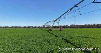 First-class irrigation asset with an opportunity for immediate access