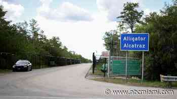 ‘Alligator Alcatraz' cost taxpayers more, federal report says