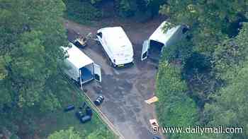 REBECCA CAMBER: The growing pile of unanswered questions in this very curious 'RAF bomb plot' case