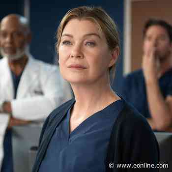 Grey's Anatomy Reveals New Cast Additions Ahead of Season 23 Premiere
