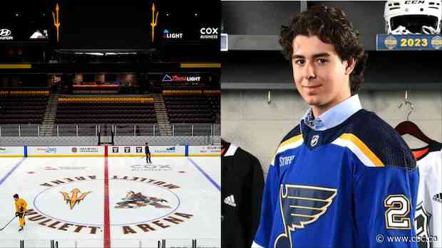 Matthew Mayich's Arizona teammates dispute school report on workout before Hamilton NHL prospect's collapse