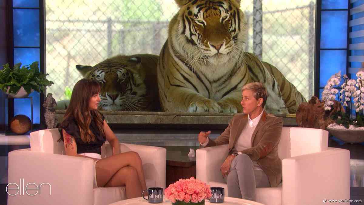 Best of Dakota Johnson on ‘Ellen’