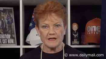 Pauline Hanson demands Treasurer Jim Chalmers resign after Reserve Bank pushes rates to highest level in 15 years