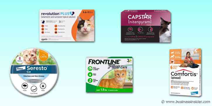 The best flea and tick treatments for cats