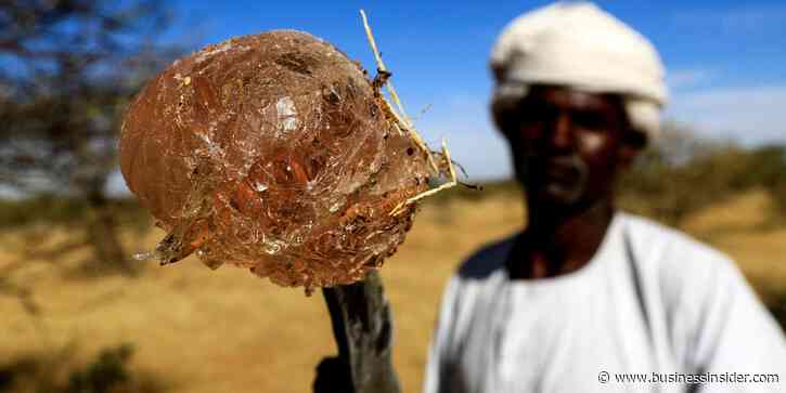 The smuggled resource in your candy and soda funding Sudan's civil war