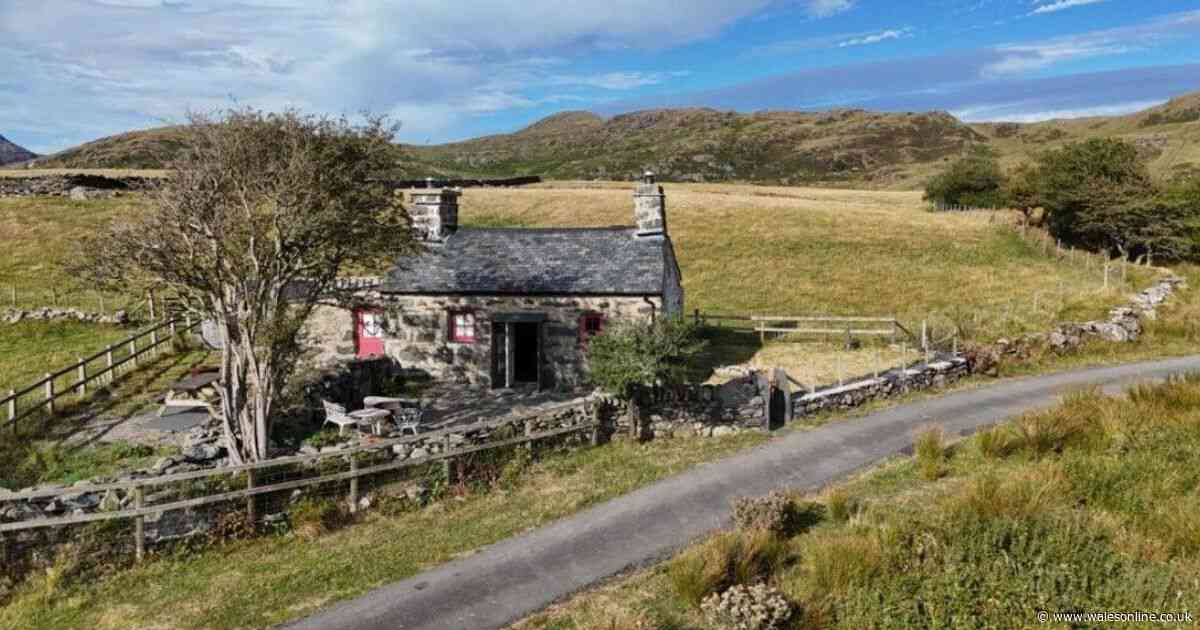 Cosy off-grid cottage in Eryri with epic mountain views promises total isolation