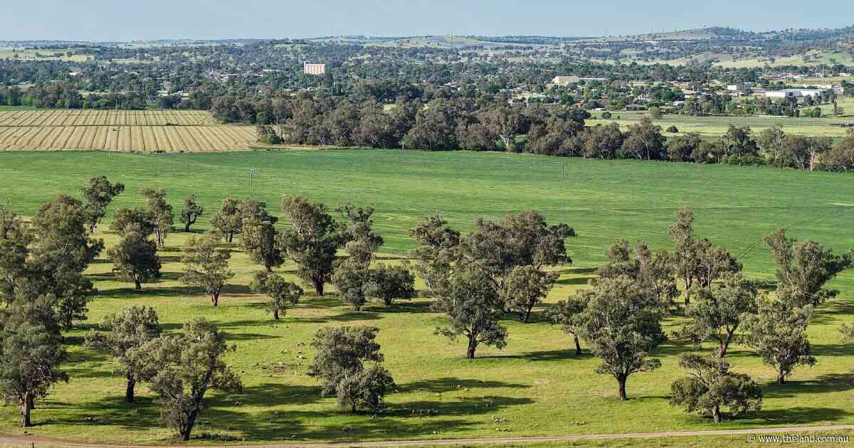 Warrengunyah an outstanding 1503 acre farming and grazing property | Video