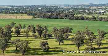Warrengunyah an outstanding 1503 acre farming and grazing property | Video