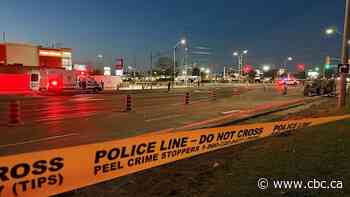 Pedestrian dead after being struck by pickup truck in hit and run in Mississauga, police say