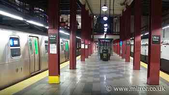 Horror as man dragged to his death after bag got stuck in New York train door
