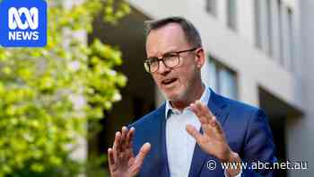 Live: David Shoebridge chosen as Greens leader