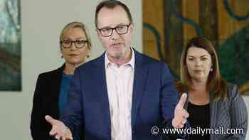 Greens choose outspoken senator David Shoebridge as new leader