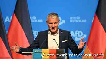 Kerkeling und Maaßen bei erster Anhörung zu AfD-Verbot dabei